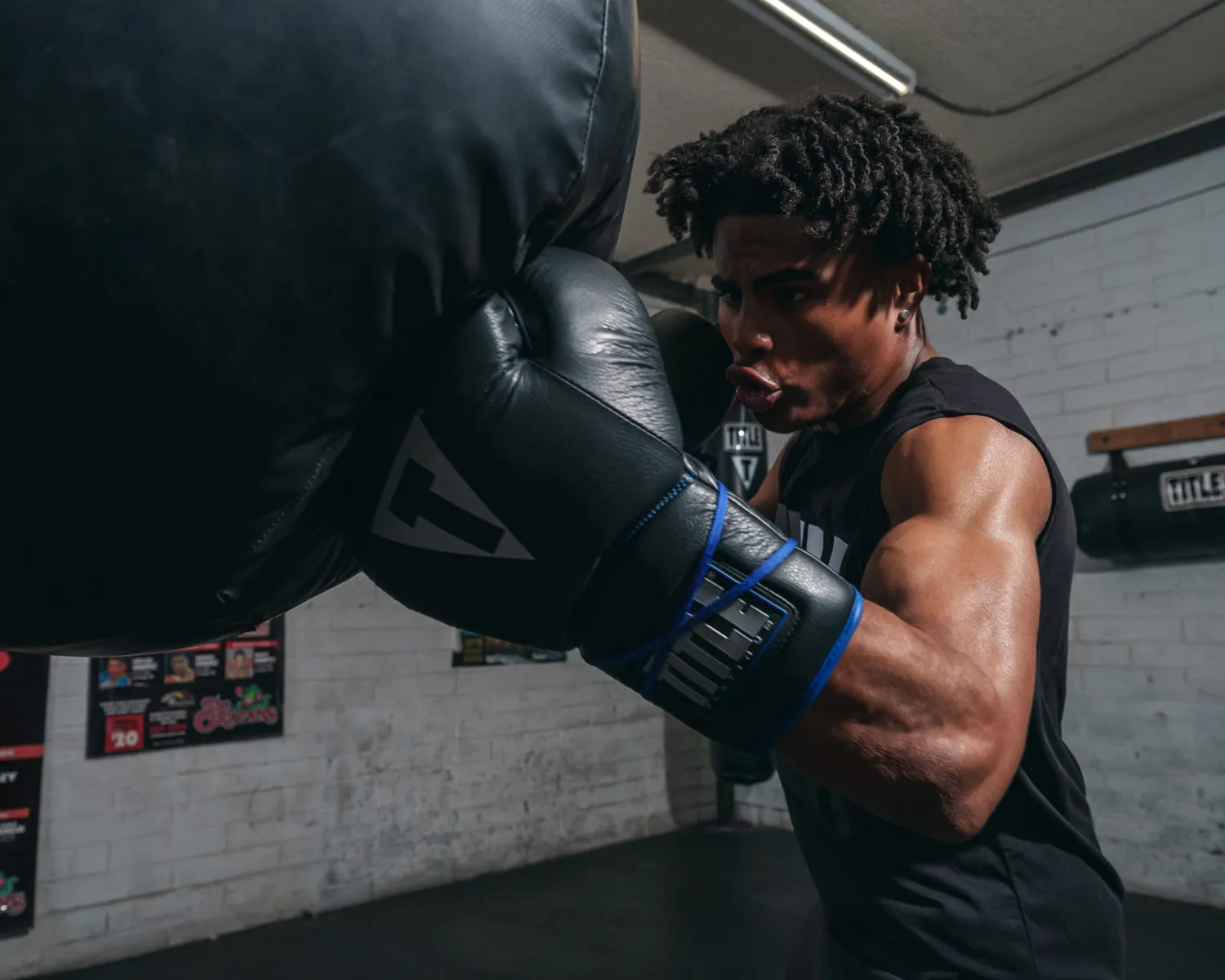 TITLE Platinum Perilous Lace Sparring Gloves